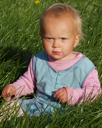 EVENTemotions babies, kids, parenting , workshops, events